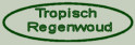 Tropische Regenwoud