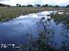 Shallow creek Zanderij 