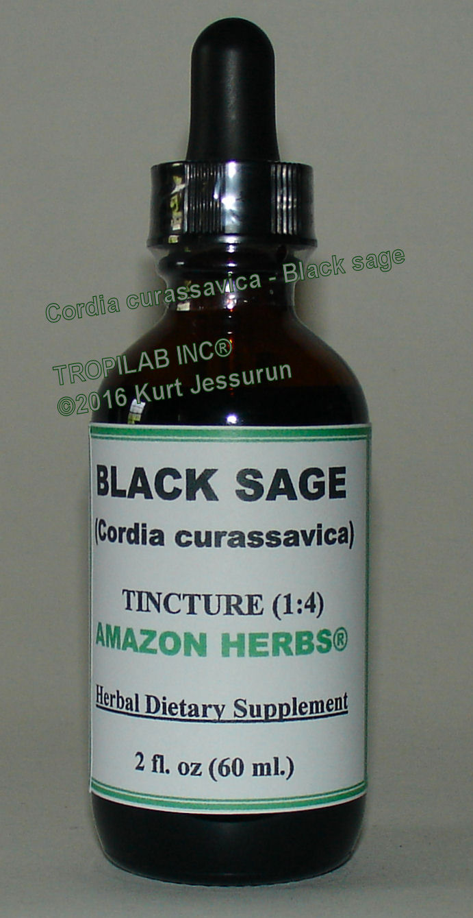 Cordia curassavica - Black sage tincture (Tropilab).