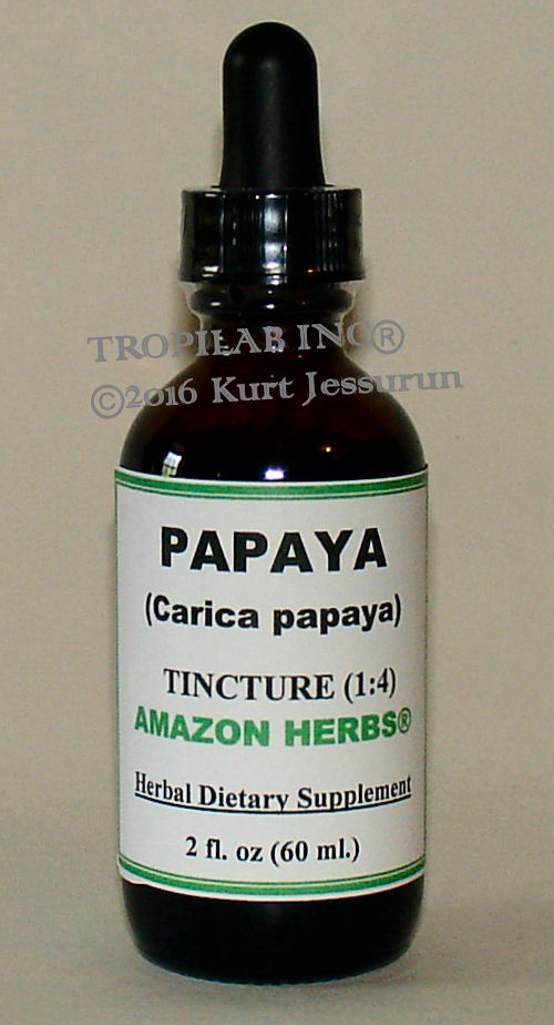 Papaja tincture (Carica papaya) - Tropilab. Papaya tincture contains natural enzymes papain and chemopapain used in treatments, arthritis and intestinal worms.